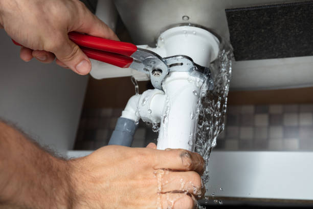 Best Commercial water damage restoration  in Bottineau, ND