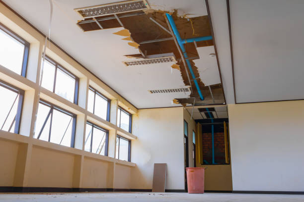 Best Local water damage restoration  in Bottineau, ND