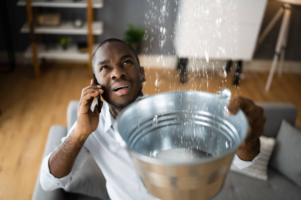 Best Water damage restoration near me  in Bottineau, ND