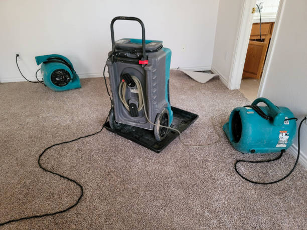Best Ceiling water damage repair  in Bottineau, ND