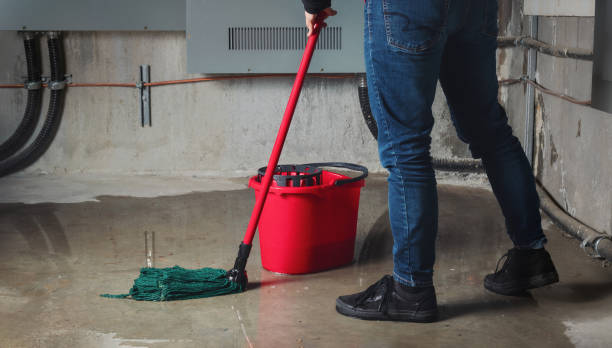 Water damage restoration process in Bottineau, ND