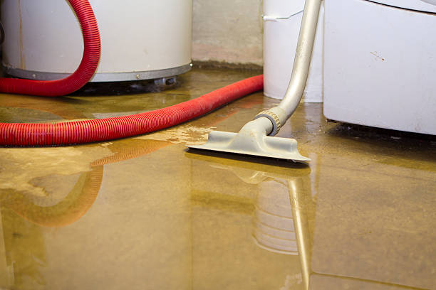 Best Flood restoration services  in Bottineau, ND