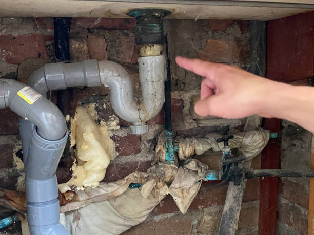 Best Flooded house restoration  in Bottineau, ND