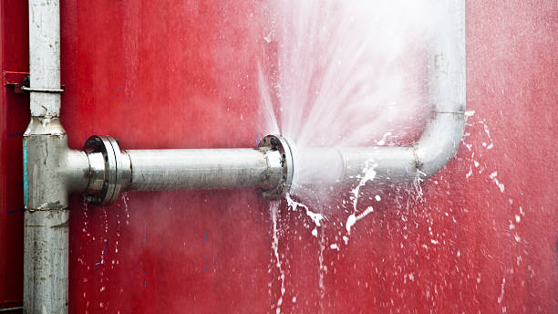 Best Water damage restoration near me  in Bottineau, ND